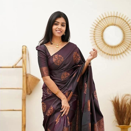 Maheshwari Silk Saree – Elegant Border Design